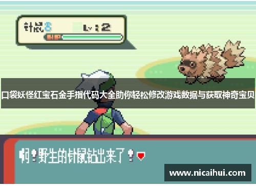 口袋妖怪红宝石金手指代码大全助你轻松修改游戏数据与获取神奇宝贝